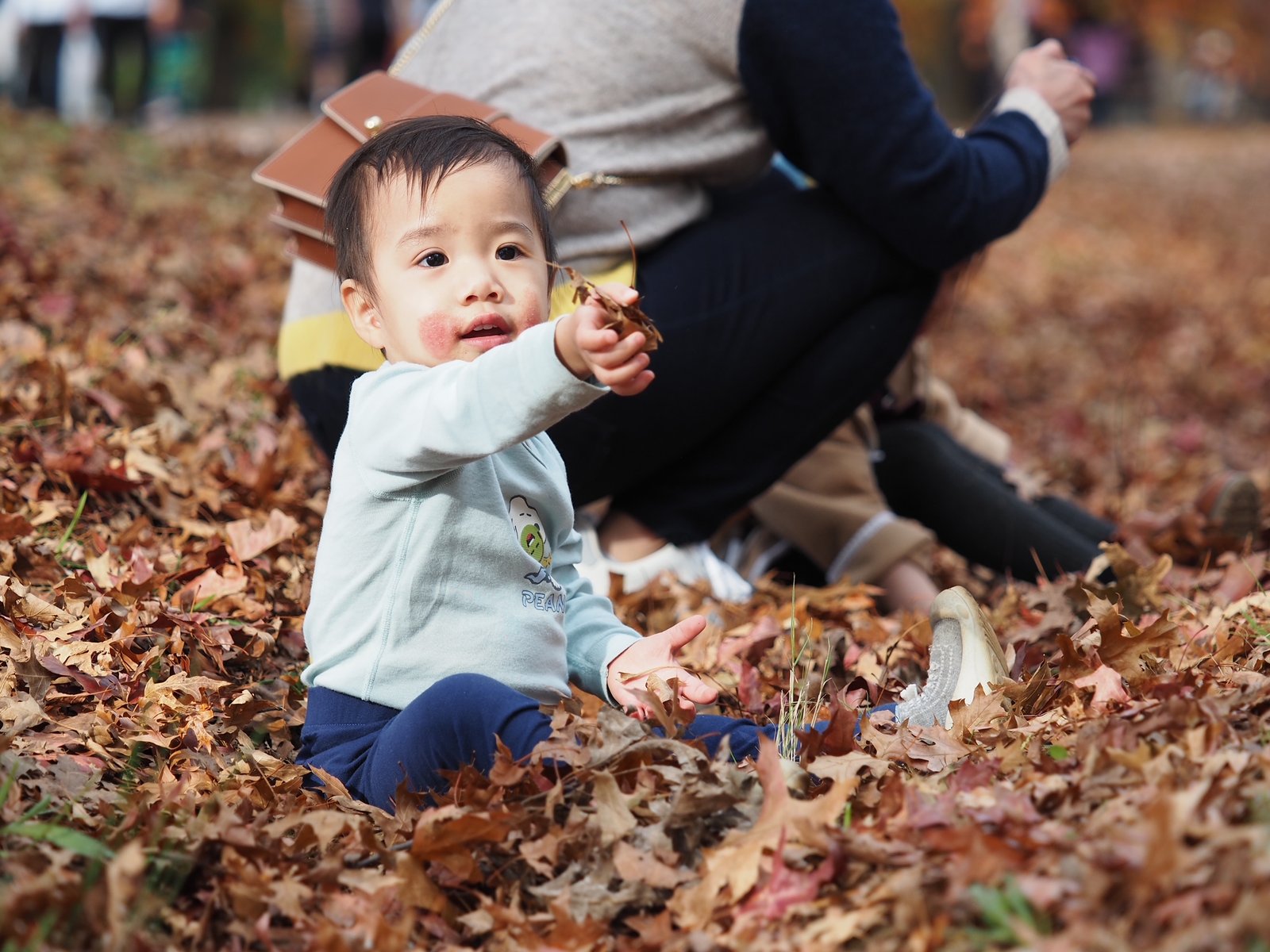 Why Kids Need Nature Play